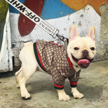Dog Jacket Pawcci - 2025 - Puppy Streetwear Shop