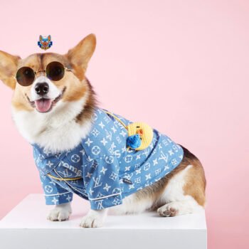 Dog Shirt Louis Pawtton - 2025 - Puppy Streetwear Shop