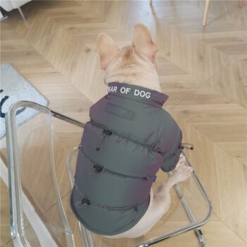 Dog Jacket - 2025 - Puppy Streetwear Shop