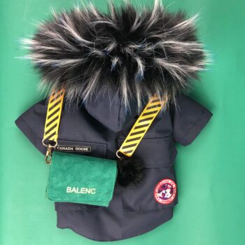 Dog Jacket Canada Goose - 2025 - Puppy Streetwear Shop