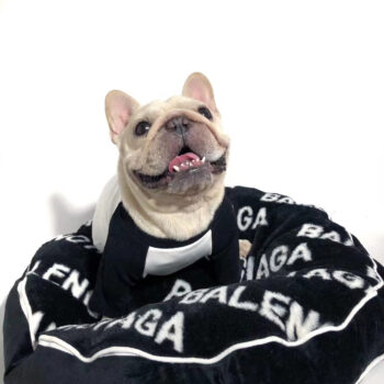 Dog Bed Balenciaga - 2025 - Puppy Streetwear Shop Dog Bed Balenciaga - 2025 - Puppy Streetwear Shop