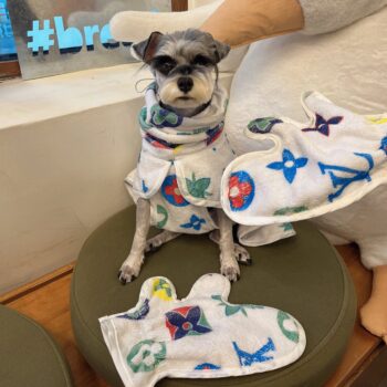 Dog Hoodies Louis Pawtton - 2025 - Puppy Streetwear Shop