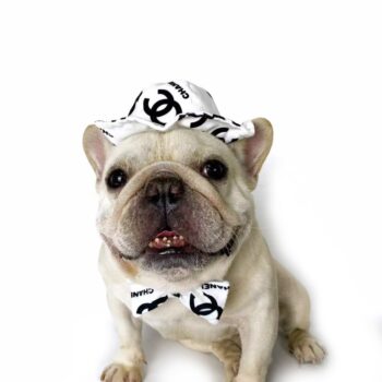 Dog Caps and Bow Tie - 2025 - Puppy Streetwear Shop