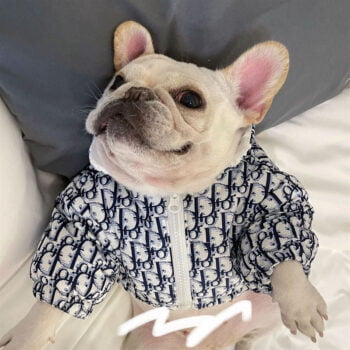 Dog Jacket Dior - 2025 - Puppy Streetwear Shop