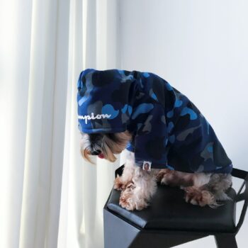 Dog Hoodies Champion - 2025 - Puppy Streetwear Shop