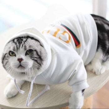 Dog Hoodies Pawcci - 2025 - Puppy Streetwear Shop