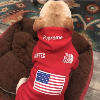 Dog Hoodies The North Face - 2025 - Puppy Streetwear Shop