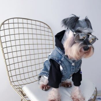 Dog Jacket - 2025 - Puppy Streetwear Shop
