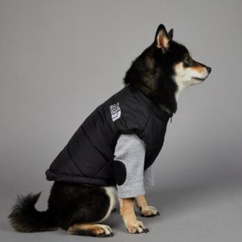 Exclusive Designer Dog Jackets - The North Face Inspired Puppy Apparel - 2025 - Puppy Streetwear Shop