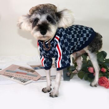 Dog Jacket Pawcci - 2026 - Puppy Streetwear Shop