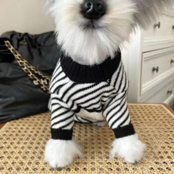 Dog Sweater Chanel - 2025 - Puppy Streetwear Shop