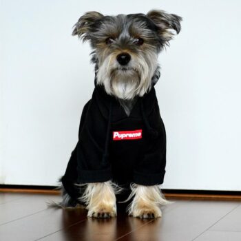 Dog Hoodies Supreme - 2025 - Puppy Streetwear Shop