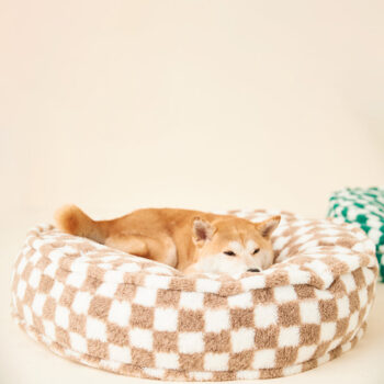 Dog Bed Pawcci - 2025 - Puppy Streetwear Shop Dog Bed Pawcci - 2025 - Puppy Streetwear Shop