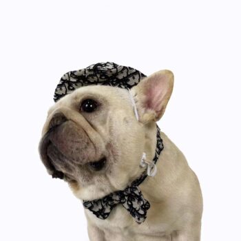Dog Caps and Bow Tie - 2025 - Puppy Streetwear Shop