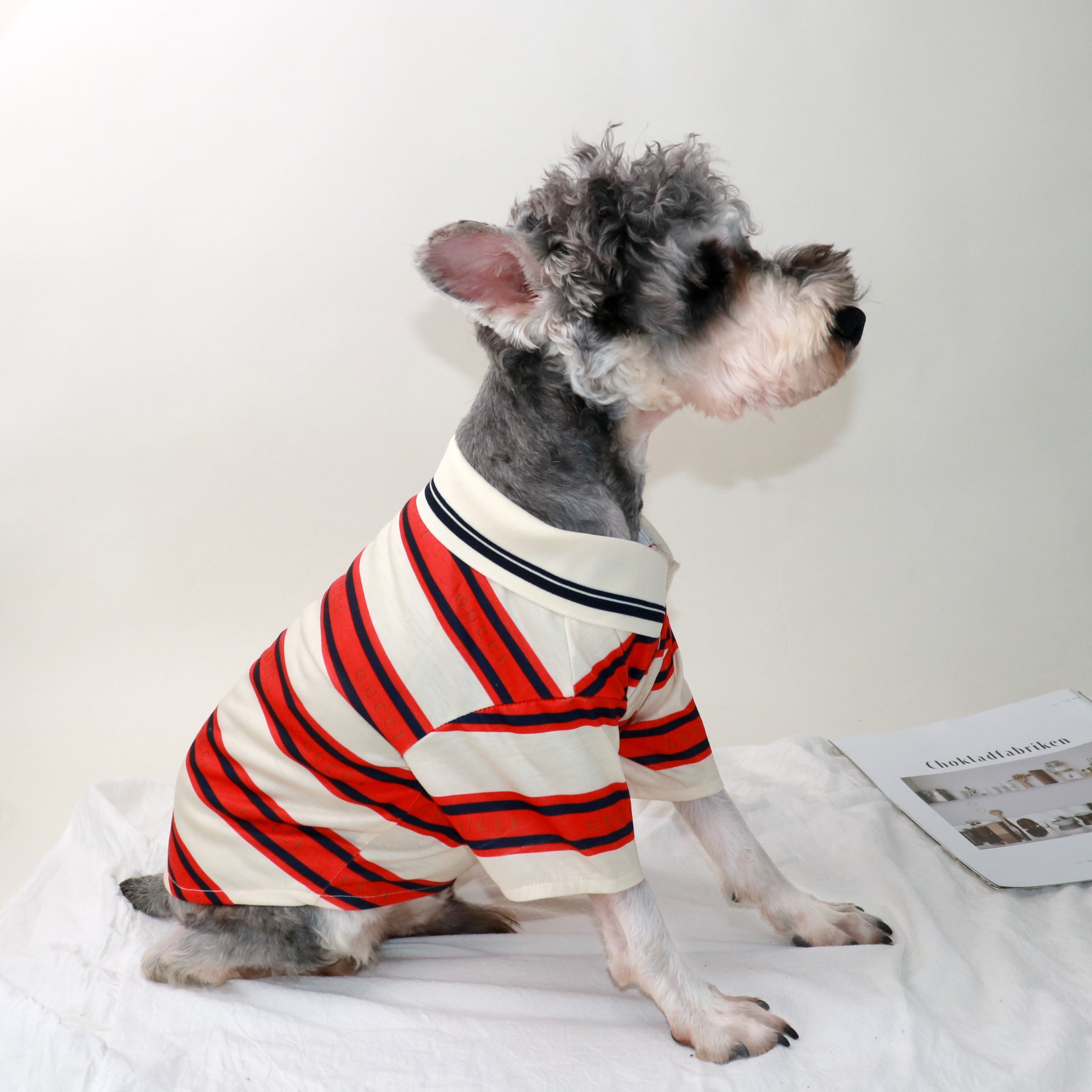 Dog Tshirt Gucci - 2024 - Puppy Streetwear Shop