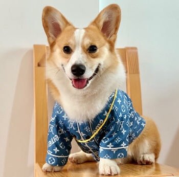 Dog Shirt Louis Pawtton - 2025 - Puppy Streetwear Shop