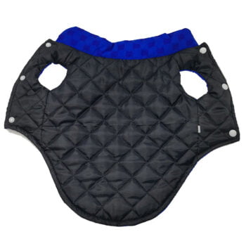 Dog Jacket Pawcci - 2025 - Puppy Streetwear Shop