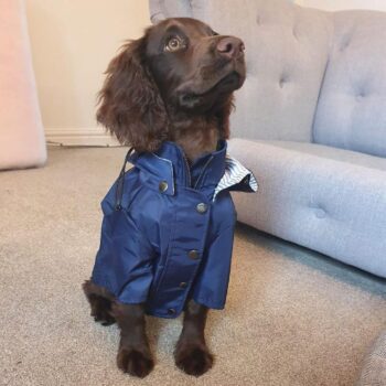 Dog Jacket - 2025 - Puppy Streetwear Shop