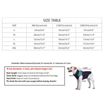 Dog Jacket The Dog Face - 2025 - Puppy Streetwear Shop Dog Jacket The Dog Face - 2025 - Puppy Streetwear Shop