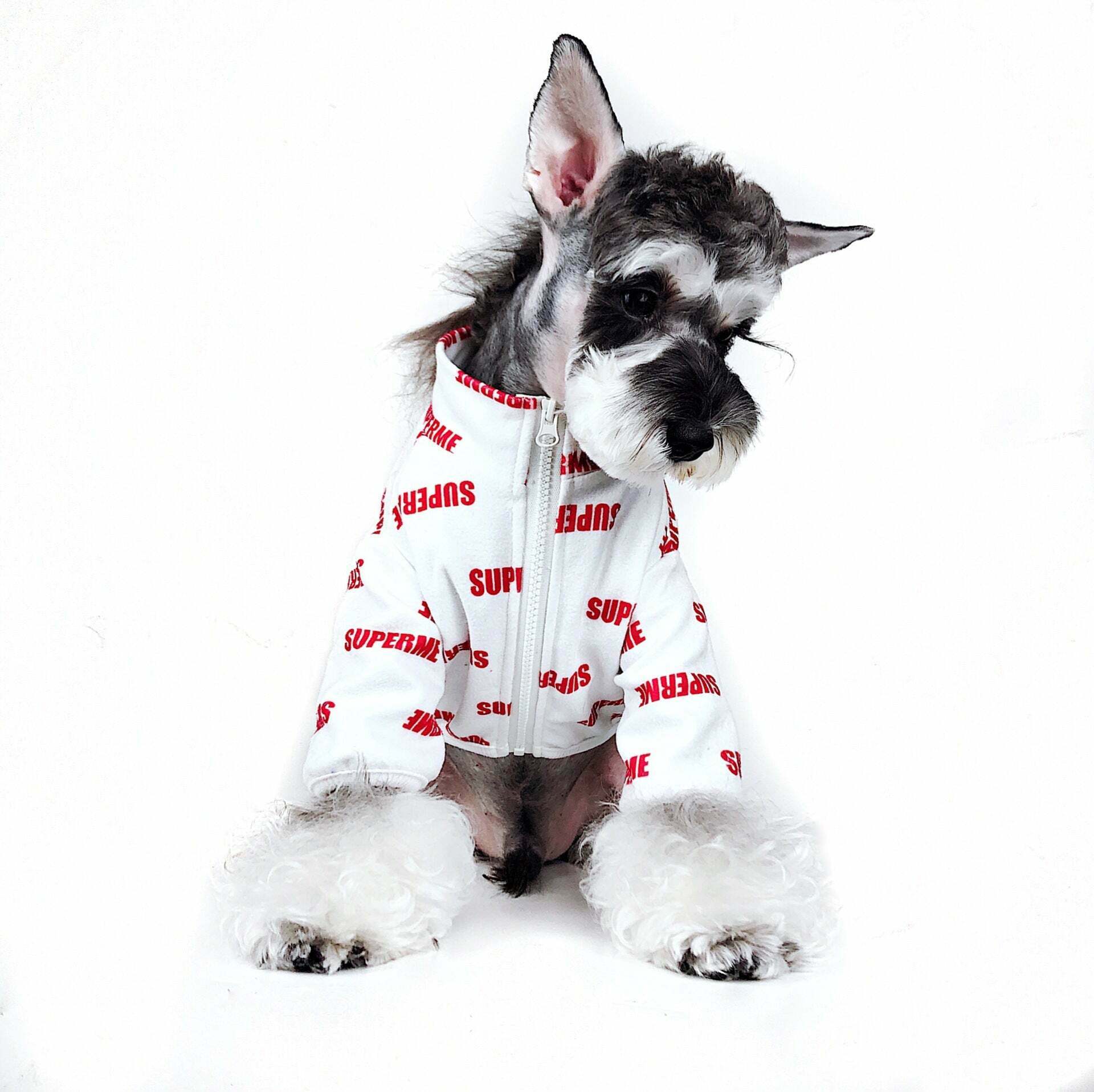 Designer Dog Jacket Supreme - 2023 - Puppy Streetwear Shop