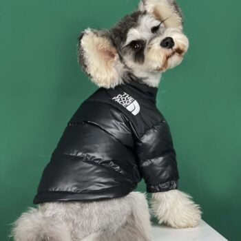 Dog Jacket The Dog Face - 2025 - Puppy Streetwear Shop Dog Jacket The Dog Face - 2025 - Puppy Streetwear Shop