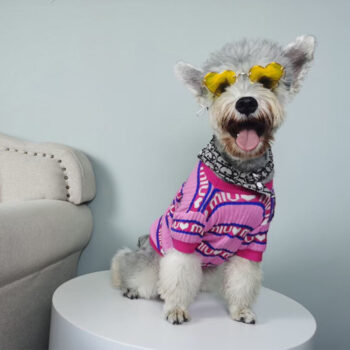 Dog Sweater Miu Miu - 2025 - Puppy Streetwear Shop