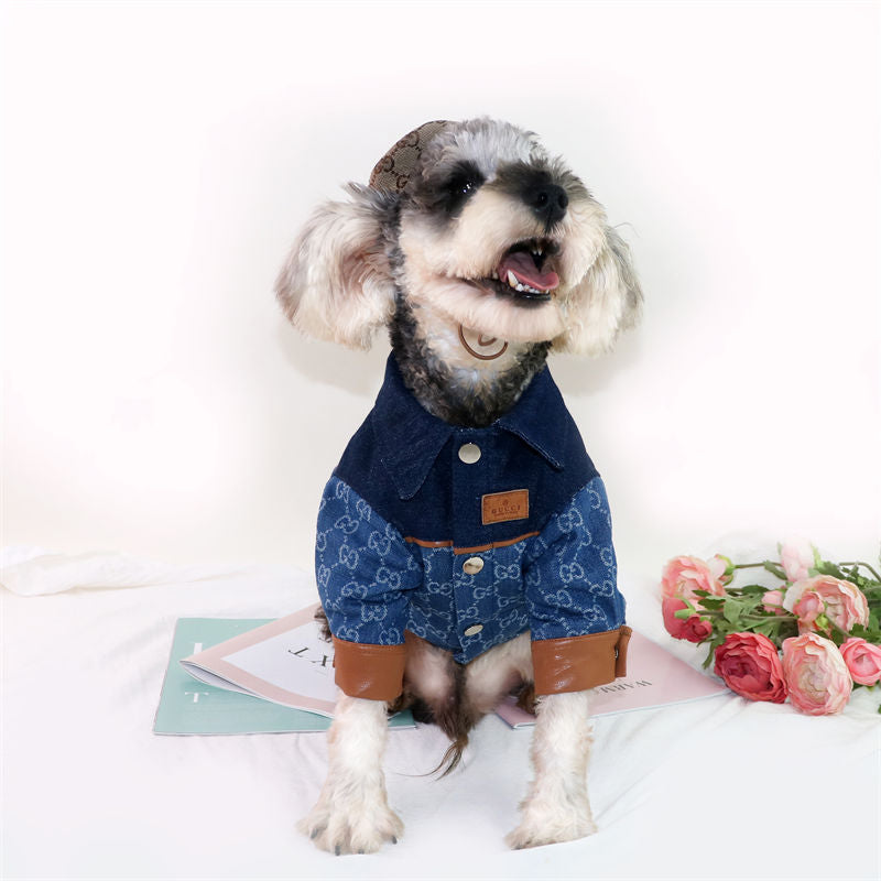 Dog Jacket Gucci - 2025 - Puppy Streetwear Shop