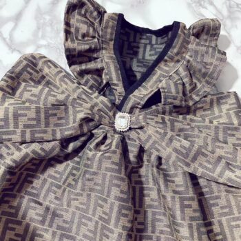 Dog Dress Fendi - 2026 - Puppy Streetwear Shop