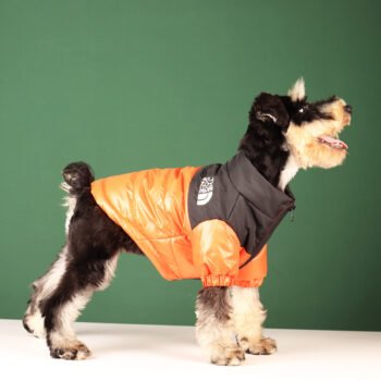 Dog Jacket The North Face - 2026 - Puppy Streetwear Shop