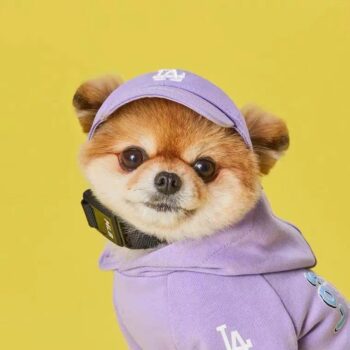 Dog Caps - 2025 - Puppy Streetwear Shop