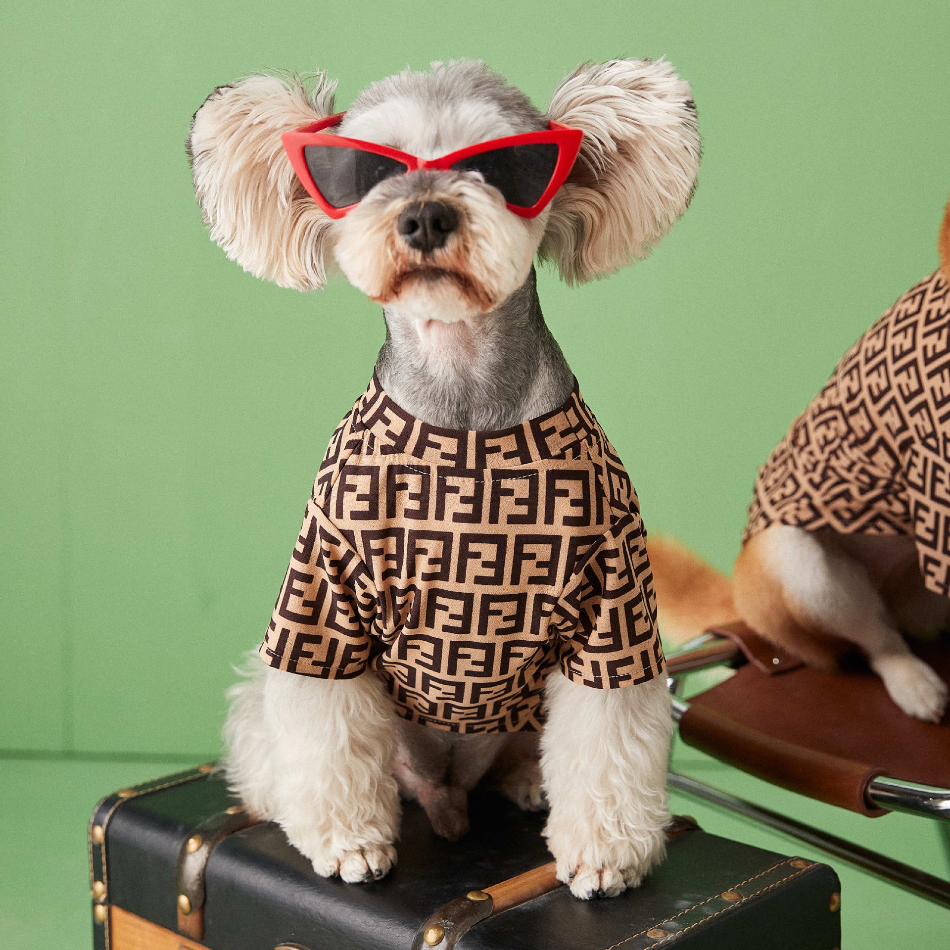 Designer Dog Tshirt Fendi - 2024 - Puppy Streetwear Shop