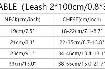 Dog Collar Harness Fendi - 2025 - Puppy Streetwear Shop