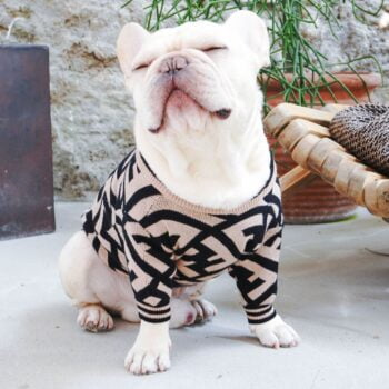 Dog Sweater Fendi - 2025 - Puppy Streetwear Shop Dog Sweater Fendi - 2025 - Puppy Streetwear Shop