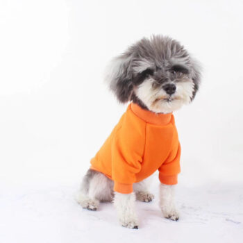 Dog Sweatshirt Louis Pawtton - 2025 - Puppy Streetwear Shop