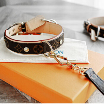 Dog Collar Harness Louis Pawtton - 2025 - Puppy Streetwear Shop