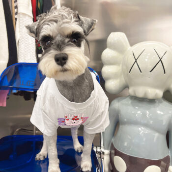 Dog Tshirt Pawcci - 2026 - Puppy Streetwear Shop