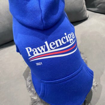 Dog Hoodies Balenciaga - 2026 - Puppy Streetwear Shop