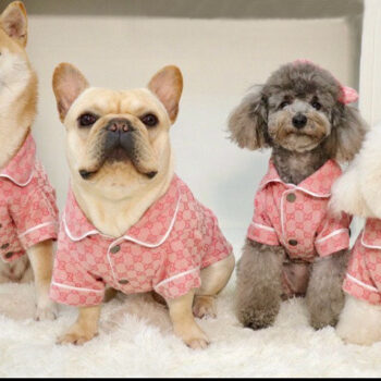 Dog Jacket Pawcci - 2025 - Puppy Streetwear Shop