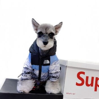 Dog Jacket The North Face - 2025 - Puppy Streetwear Shop