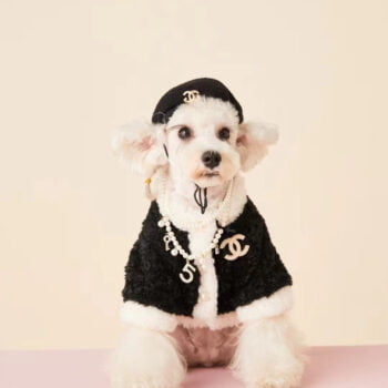 Dog Jacket Chanel - 2025 - Puppy Streetwear Shop