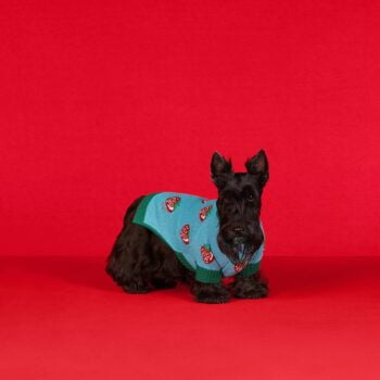Dog Sweater Pawcci - 2025 - Puppy Streetwear Shop Dog Sweater Pawcci - 2025 - Puppy Streetwear Shop