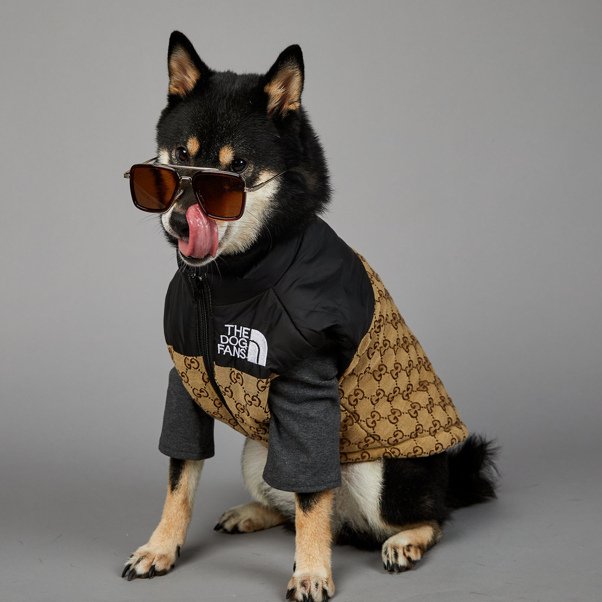 Dog Jacket Gucci - 2025 - Puppy Streetwear Shop