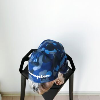 Dog Hoodies Champion - 2025 - Puppy Streetwear Shop