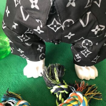 Dog Shirt Louis Pawtton - 2026 - Puppy Streetwear Shop