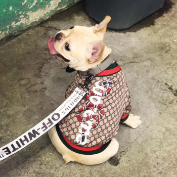 Dog Jacket Pawcci - 2026 - Puppy Streetwear Shop