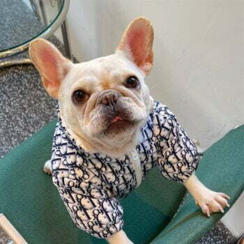 Dog Jacket Dior - 2025 - Puppy Streetwear Shop