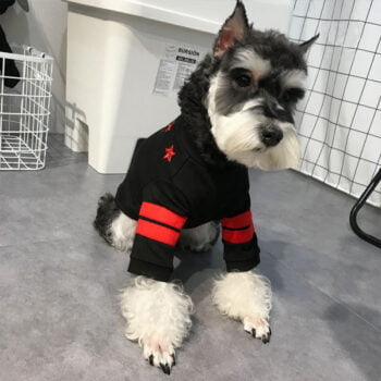 Dog Tshirt Givenchy - 2025 - Puppy Streetwear Shop