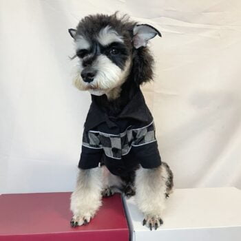 Dog Shirt Louis Pawtton - 2025 - Puppy Streetwear Shop