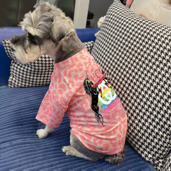 Dog Tshirt Pawcci - 2026 - Puppy Streetwear Shop