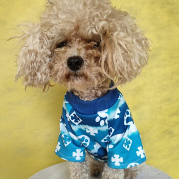 Dog Tshirt Louis Pawtton - 2026 - Puppy Streetwear Shop